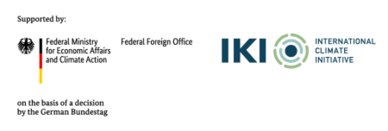 INTERNATIONAL CLIMATE INITIATIVE